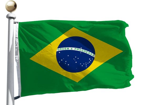 Buy 50 Countries International World Flag National Flags Custom Flags online manufacture