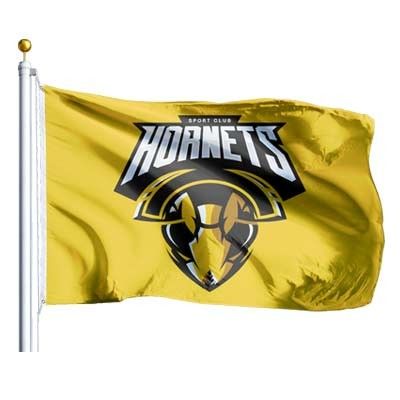 comprar Impressão digital de todos os países Bandeira personalizada Bandeiras de tamanho grande Bandeira personalizada 3x5 online manufacture