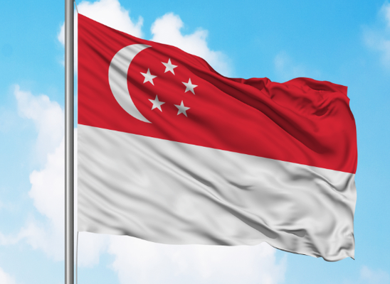 kaufen Singapur Flaggenheader Grommets Endbildschirmdruck Einfach rückwärts online manufacture