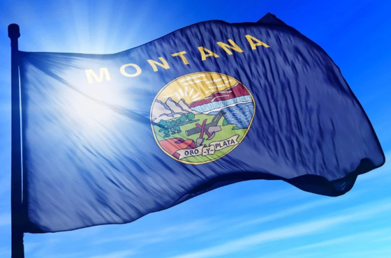 comprar Bandeira de Montana em Nylon Dupont Pesado com Impressão Digital Ácida em Lona Resistente online manufacture