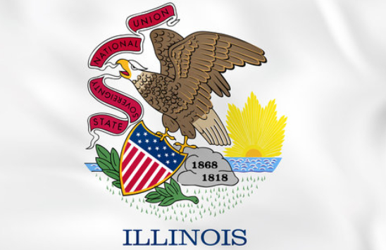Buy Illinois State Flag Patriotic Enthusiasm Long Serving Life Govemment Building online manufacture