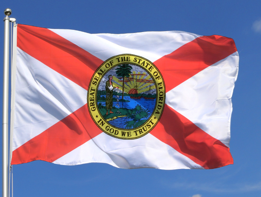 Buy Florida Flag DuPont Nylon 66 Fabric Fade-resistant Colors Reinforced Canvas online manufacture