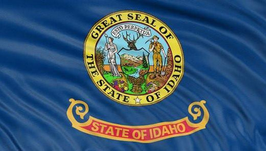 acheter Drapeau de l'État de l'Idaho Modèle A00001 Matériau polyester à double couture coupure propre online manufacture