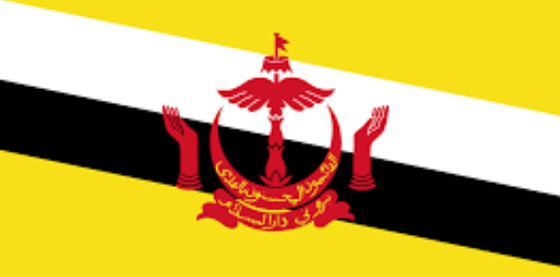Buy Brunei Flagolden national screen printed high quality online manufacture