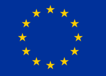 Buy EU Flagolden national screen printed high quality online manufacture