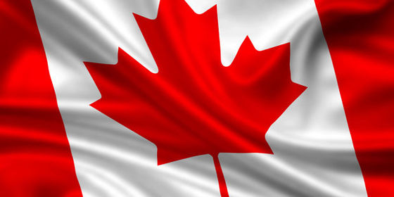 Bom preço 3x5 Canadá Nacional Poliéster bandeira de um lado on-line