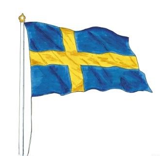 Goede prijs 100% polyester donkerblauw Zweedse vlag met plastic haak Zweedse vlag online