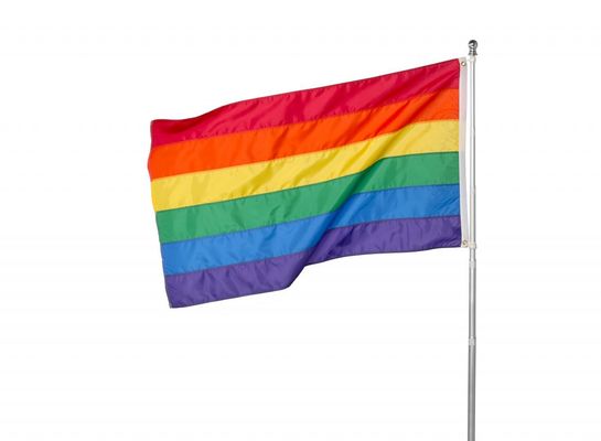 Bom preço bandeiras de poliéster em branco personalizadas imprimir seu logotipo bandeiras personalizadas de dois lados com logotipo bandeira e bandeira on-line
