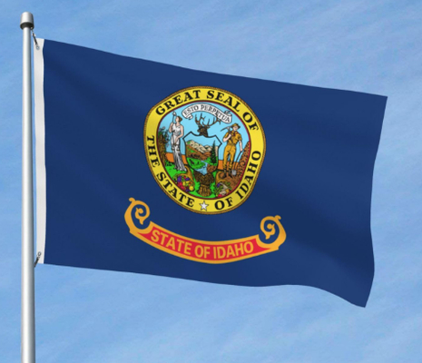 Good price Double Sides Interlayer Long-term Use Idaho Flag Single Side 50PCS online