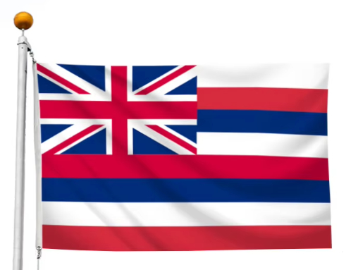 Good price Government Public Institutions​ ​​Hawaii Flag National Civic Events Civic Education online