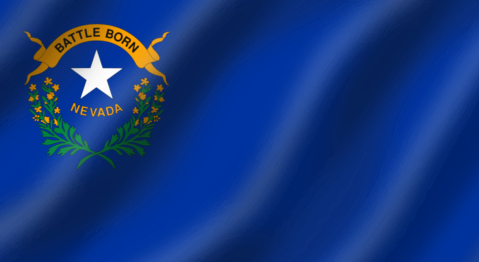 Good price Memorials Monuments ​​Nevada Flag Wind Resistance CMYK Colour online